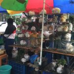 TAK HANYA MAKANAN, PASAR TAKJIL SUHAT JUGA DIMANFAATKAN PEDAGANG HEWAN DAN BUNGA