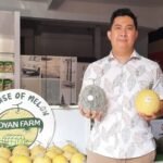 KISAH SUKSES RYAN MUCHLIS, GREEN HOUSE MELON HIDROPONIK JADI SUMBER CUAN