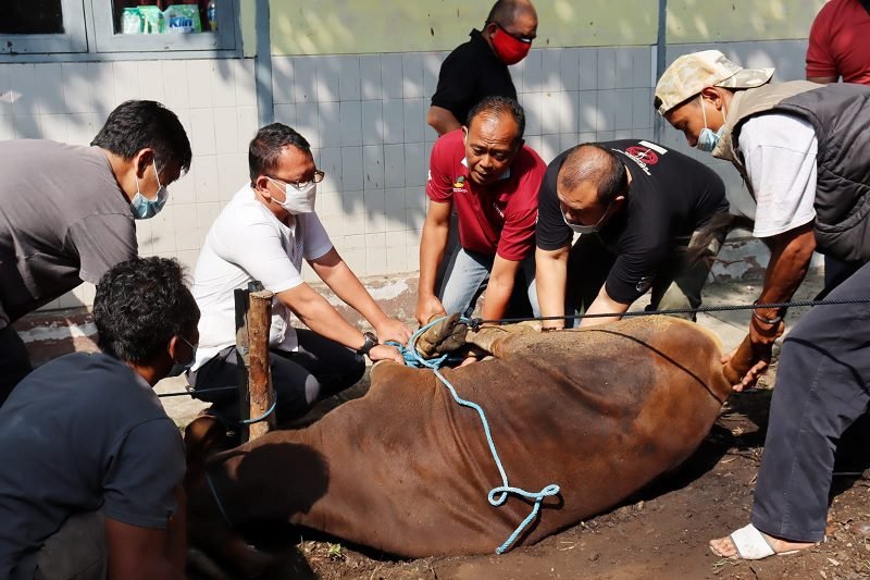 PEMERINTAH TEGASKAN IDUL ADHA TAK BERPOTENSI PICU INFLASI