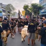 LEBOUS DAY, TRADISI UNIK ARAK-ARAKAN HEWAN QURBAN KELURAHAN JODIPAN KOTA MALANG