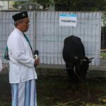 POLINEMA BAGIKAN SERIBU PAKET DAGING KURBAN