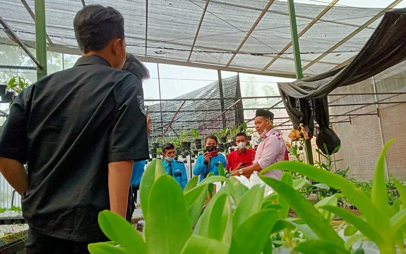 PONPES BAHRUL MAGHFIROH KEMBANGKAN BUDIDAYA ANGGREK, HASILKAN CUAN HINGGA 30 JUTA
