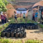 TIM DOSEN UWG SOSIALISASIKAN URBAN FARMING GUNA ANGKAT KETAHANAN PANGAN WARGA