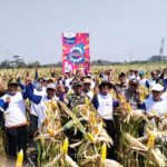 PT WIDJI NUSANTARA MAKMUR GELAR TEMU TANI JILID DUA
