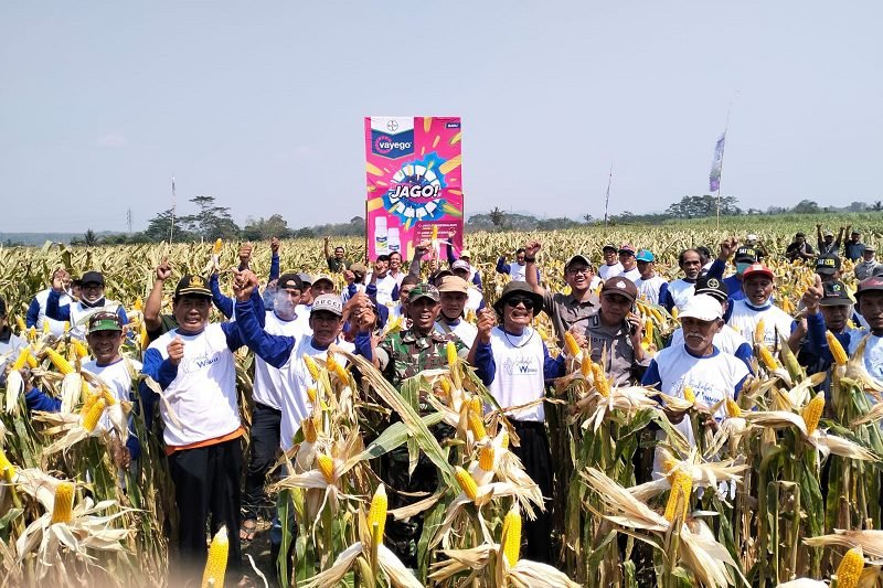 PT WIDJI NUSANTARA MAKMUR GELAR TEMU TANI JILID DUA