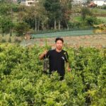 TAUFIQURRAHMAN, PETANI MUDA BATU SUKSES JADI SUPPLIER BIBIT BUNGA DAN BUAH DI BERBAGAI KOTA