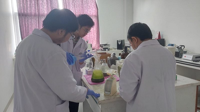 DENGAN EKSTRAK KELOR, MAHASISWA UB BERHASIL TEMUKAN ALTERNARIF BARU SEMBUHKAN ALZHEIMER