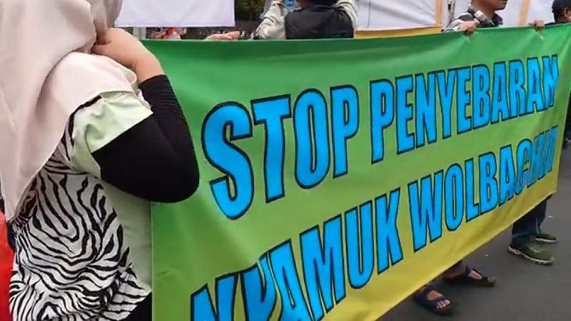 BAPPENAS JANJI MINTA KEMENKES KAJI KEMBALI KEBIJAKAN LEPAS NYAMUK WOLBACHIA