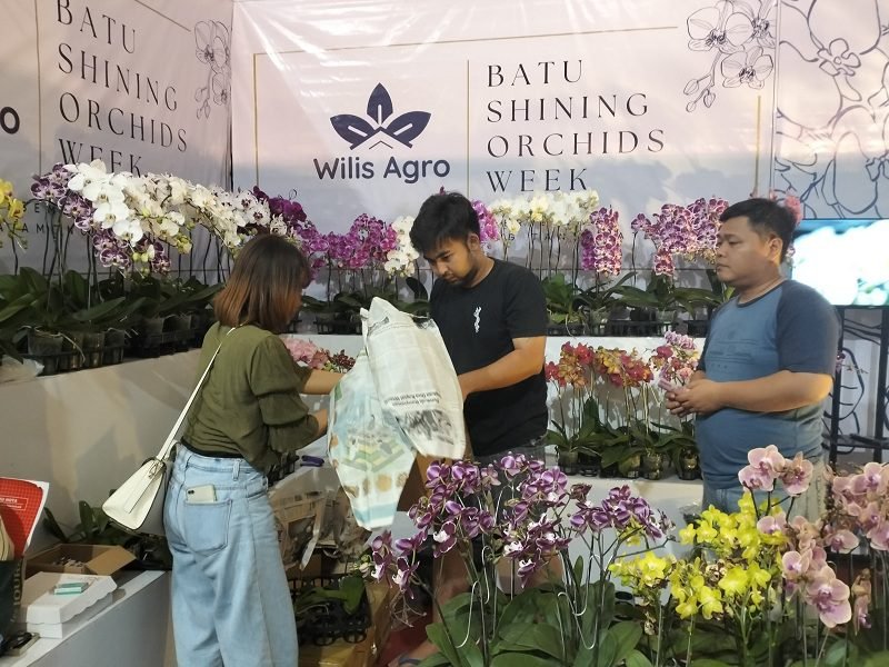 WILIS AGRO NILAI EVENT BSOW 2023 MOMENTUM UNTUK BRANDING