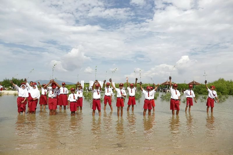 KONTRIBUSI SEKTOR LINGKUNGAN, PLN TANAM 283.739 POHON SEPANJANG TAHUN 2023