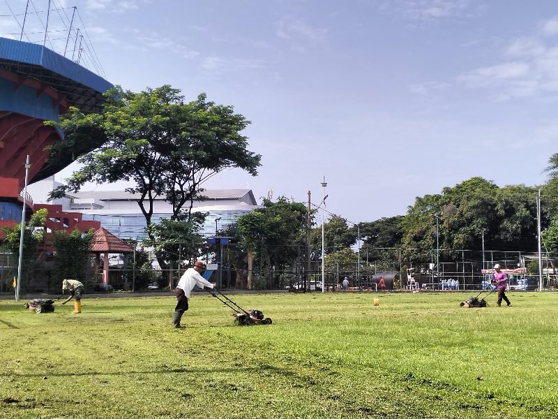 Bekerja sama merawat rumput mini soccer Stadion Gajayana