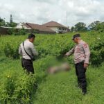 POLISI UNGKAP IDENTITAS MAYAT YANG DITEMUKAN DI LAHAN KOSONG DI SINGOSARI MALANG