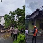 ANGIN KENCANG TERJANG KABUPATEN BONDOWOSO, 202 RUMAH RUSAK