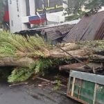 HUJAN LEBAT DISERTAI ANGIN KENCANG SEBABKAN POHON TUMBANG DAN BANYAK KENDARAAN RUSAK