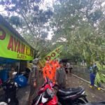 HUJAN ANGIN LANDA KOTA MALANG, POHON TUMBANG HINGGA TEMBOK RUBUH