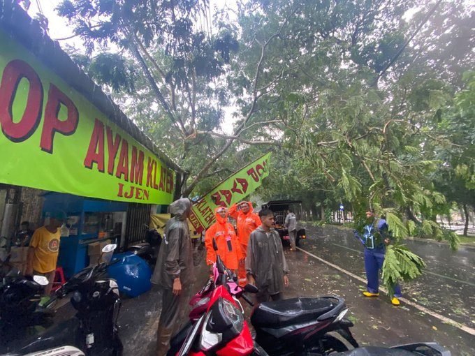 HUJAN ANGIN LANDA KOTA MALANG, POHON TUMBANG HINGGA TEMBOK RUBUH