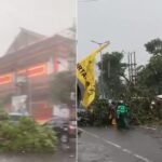 LAGI, POHON-POHON TUMBANG AKIBAT HUJAN DERAS DI BEBERAPA TITIK DI KOTA MALANG