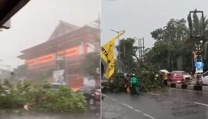 LAGI, POHON-POHON TUMBANG AKIBAT HUJAN DERAS DI BEBERAPA TITIK DI KOTA MALANG