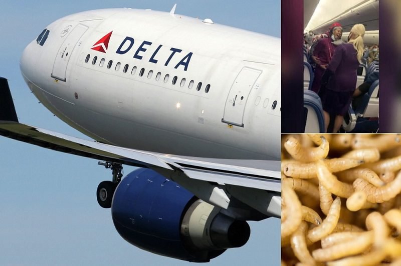 ADA BELATUNG DI PESAWAT, PENERBANGAN DELTA TERPAKSA PUTAR BALIK