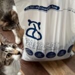 FACOCAT, PASIR KUCING RAMAH LINGKUNGAN BUATAN MAHASISWA ITS