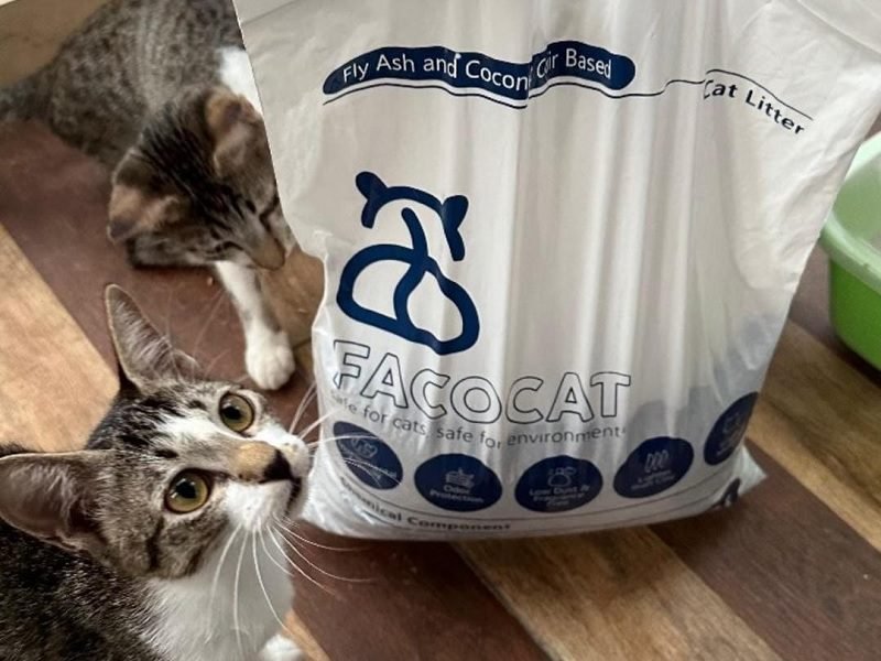 FACOCAT, PASIR KUCING RAMAH LINGKUNGAN BUATAN MAHASISWA ITS