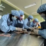 KKP PERCEPAT HILIRISASI BANDENG DI GRESIK