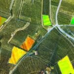 PERKUAT KETAHANAN PANGAN, BRIN MANFAATKAN DATA SATELIT PANTAU LAHAN PERTANIAN