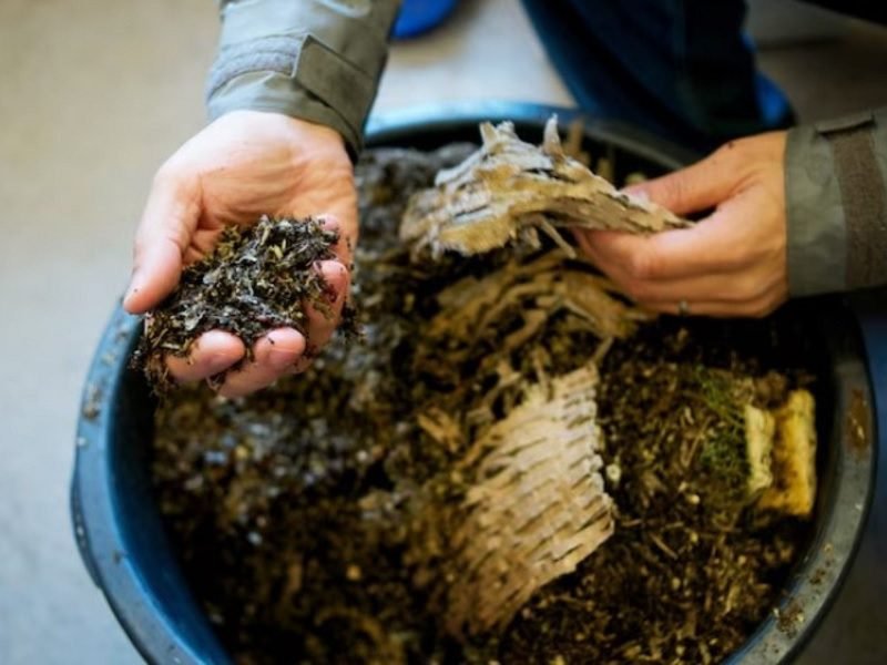 6 CARA MUDAH MEMBUAT PUPUK KOMPOS ORGANIK