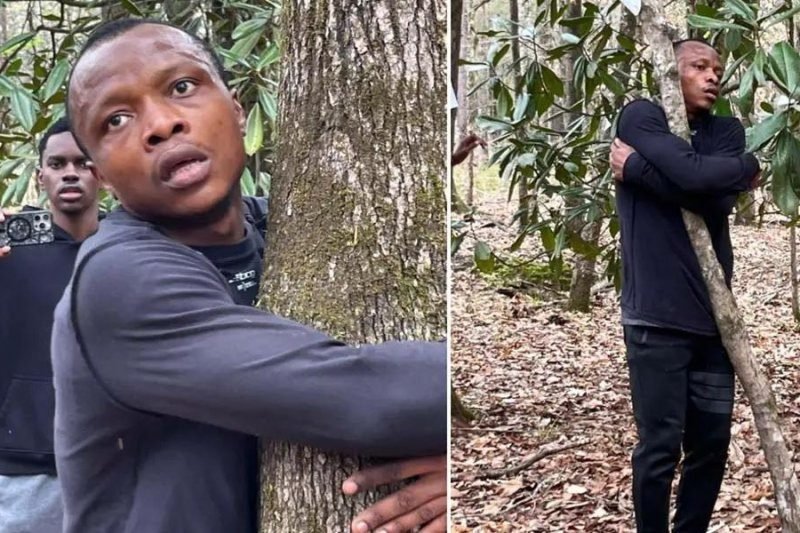 PELUK LEBIH DARI SERIBU POHON DALAM SATU JAM, PRIA GHANA INI PECAHKAN REKOR DUNIA