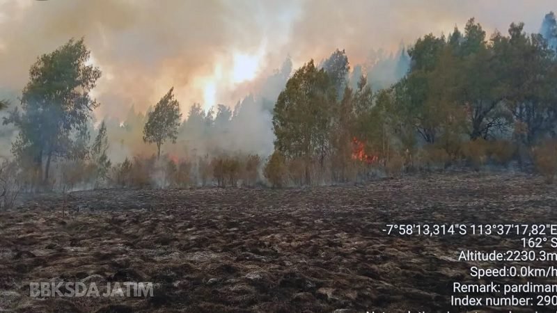 BALAI BESAR KSDA JATIM: GUNUNG ARGOPURO KEMBALI DIBUKA PER 1 MEI 2024