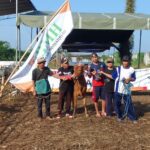 BMH GERAI MALANG SEMBELIH DAN SALURKAN RATUSAN HEWAN KURBAN IDUL ADHA 2024