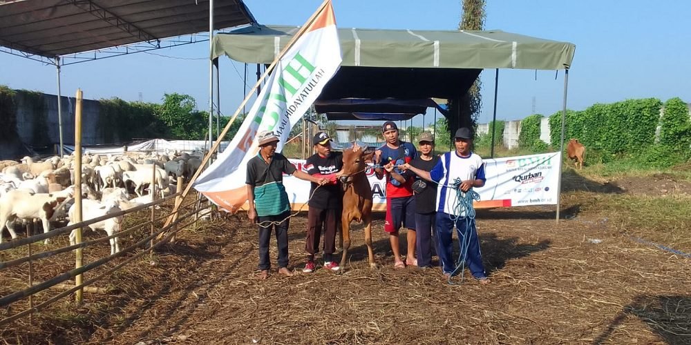 BMH GERAI MALANG SEMBELIH DAN SALURKAN RATUSAN HEWAN KURBAN IDUL ADHA 2024