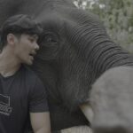 CHICCO JERIKHO MINTA PEMERINTAH TEGAS TANGANI KASUS FENCING ILEGAL YANG TEWASKAN GAJAH SUMATERA