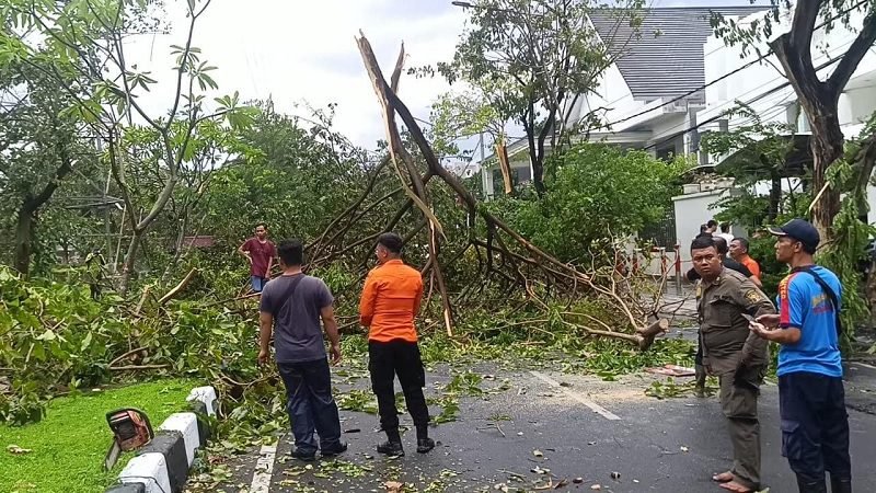 MITIGASI DAMPAK ANGIN PUTING BELIUNG, PAKAR ITS SERUKAN KESIAPSIAGAAN