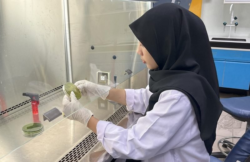 MAHASISWA UNAIR TELITI RUMPUT LAUT DI MALAYSIA