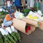BISNIS PENGEPUL BUNGA DI KOTA BATU, POTENSI BESAR DI TENGAH TANTANGAN CUACA