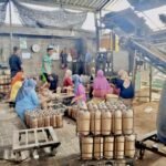 UD RESTU BUNDA, INSPIRASI SUKSES BUDIDAYA JAMUR DI MALANG