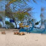 PANTAI TANJUNG PENYU KEINDAHAN ALAM YANG SANGAT MEMUKAU DI MALANG SELATAN