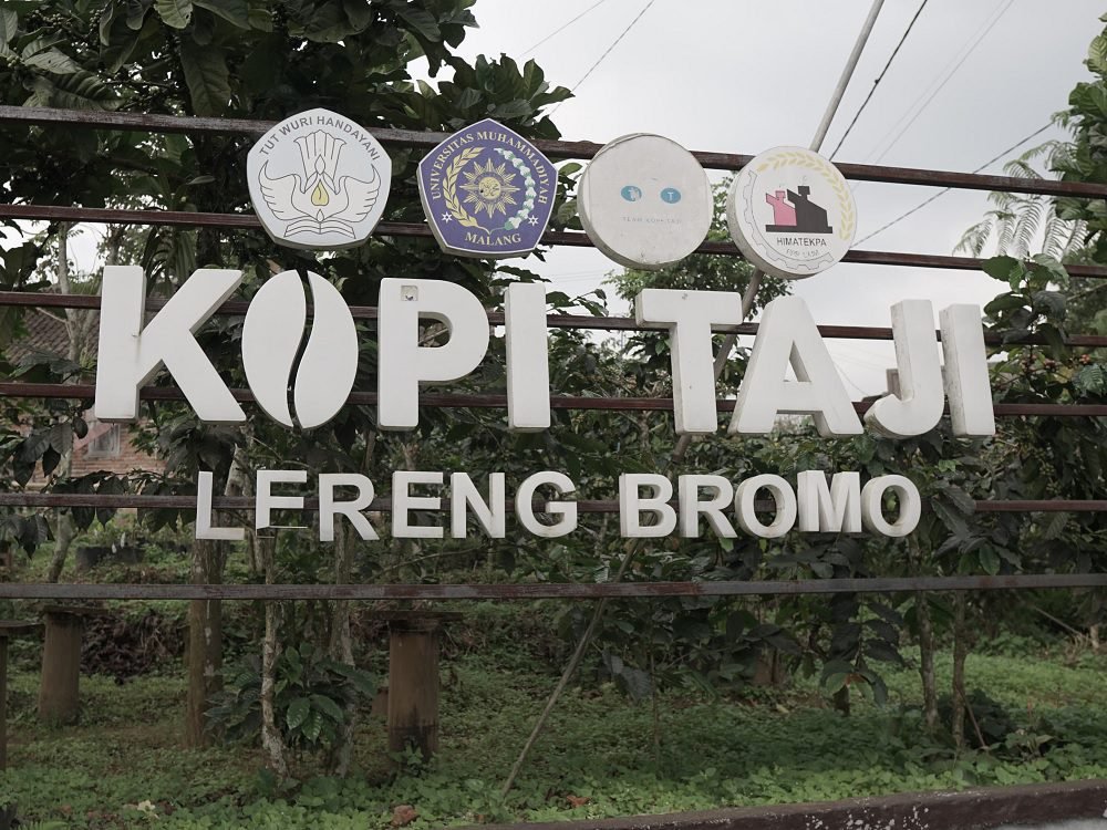 KOPI TAJI LERENG BROMO, KELEZATAN KOPI KHAS JABUNG YANG WAJIB DICOBA