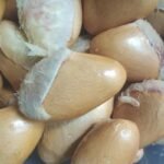 MANFAAT BIJI DURIAN, SUMBER NUTRISI YANG JARANG DIKETAHUI