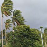 ANGIN KENCANG TERJANG MALANG RAYA, BPBD KOTA MALANG IMBAU MASYARAKAT TETAP WASPADA