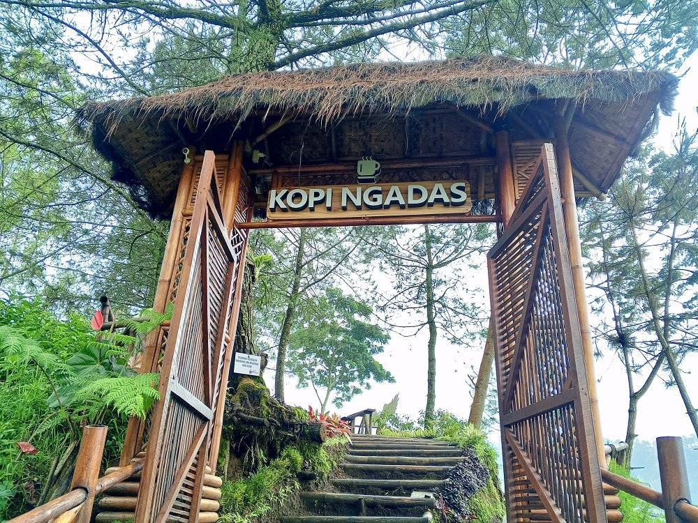 KOPI NGADAS, NGOPI DI ATAS AWAN DENGAN NUANSA YANG MENENANGKAN