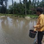 POTENSI PERIKANAN DI DUSUN TEBELO BELUM DIMANFAATKAN SECARA OPTIMAL