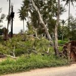 POHON TUMBANG AKIBATKAN ALIRAN LEDENG TERHAMBAT DI BATANGHARI, LAMPUNG TIMUR