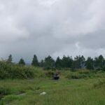 SEJUK DAN MENENANGKAN, SARKAWI MENJADI TEMPAT PIKNIK YANG SERU DI KABUPATEN LUMAJANG