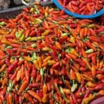 HARGA CABAI DI PASAR BESAR MALANG KEMBALI STABIL PASCA LEBARAN