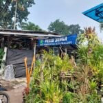 PENGARUH CUACA TERHADAP KUALITAS TANAMAN DI PASAR BUNGA KOTA MALANG