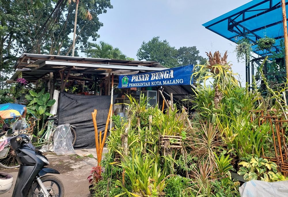 PENGARUH CUACA TERHADAP KUALITAS TANAMAN DI PASAR BUNGA KOTA MALANG