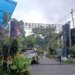 PASAR BUNGA SPLENDID, WISATA HIJAU DAN BELANJA TANAMAN DALAM SATU TEMPAT