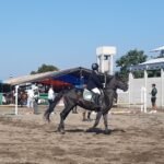 INSIDEN DI ARENA EQUESTRIAN: ATLET TERJATUH DARI KUDA SAAT BERLOMBA